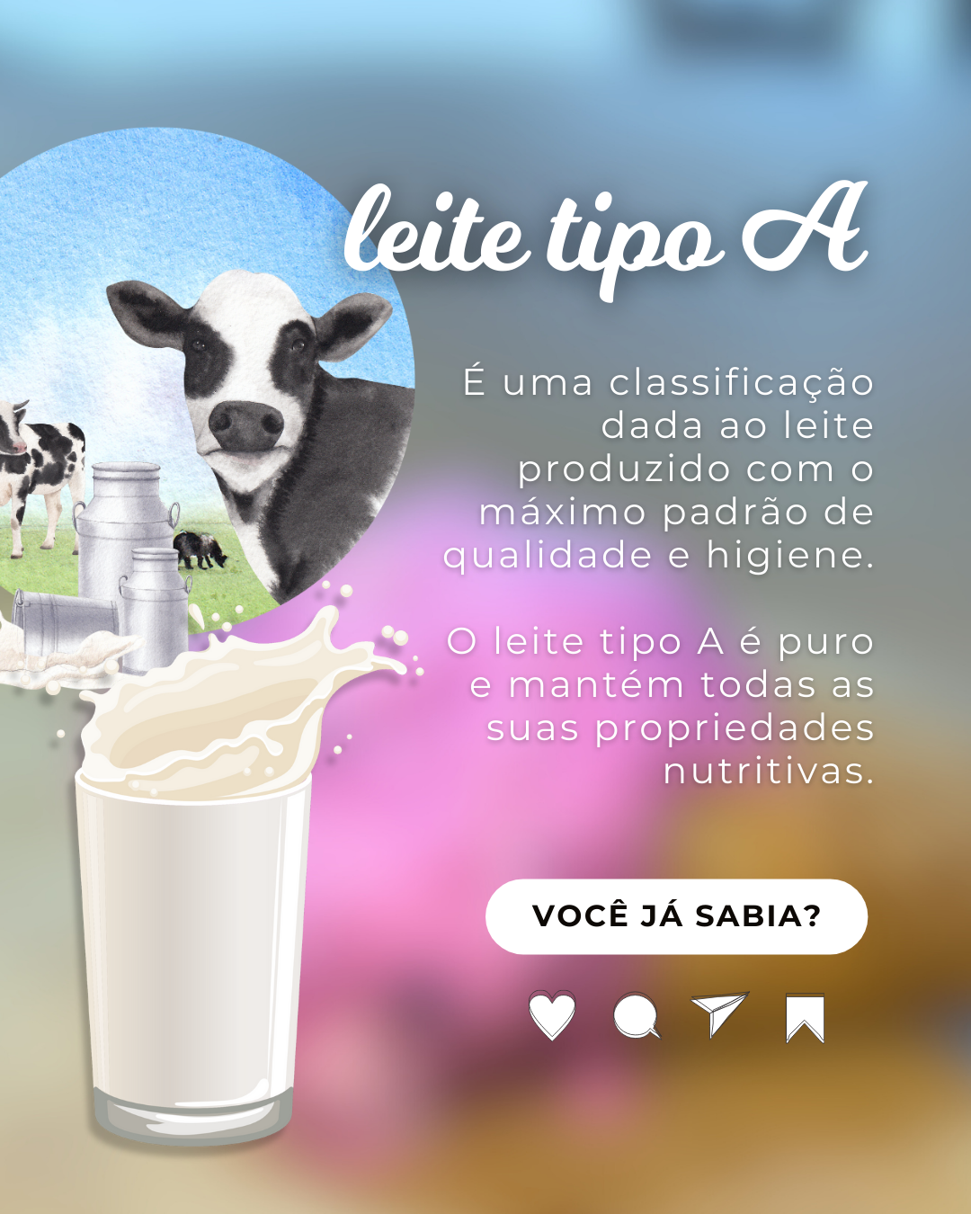 Você já sabia? Leite tipo A: puro e com máximo padrão de qualidade e higiene.